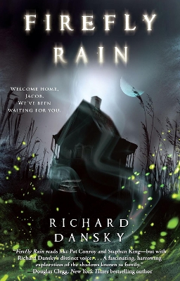 Book cover for Firefly Rain