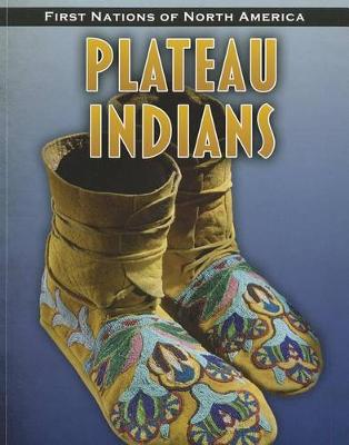 Book cover for Plateau Indians