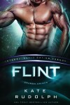 Book cover for Flint