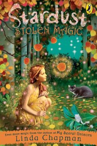 Cover of Stolen Magic