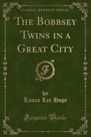 Cover of The Bobbsey Twins in a Great City (Classic Reprint)