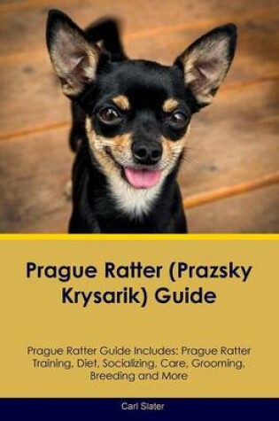 Cover of Prague Ratter (Prazsky Krysarik) Guide Prague Ratter Guide Includes
