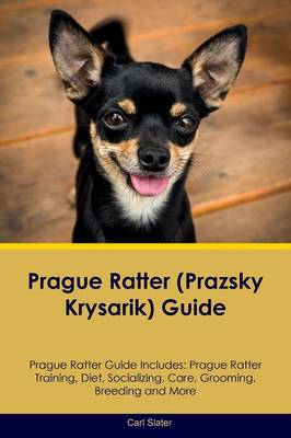 Book cover for Prague Ratter (Prazsky Krysarik) Guide Prague Ratter Guide Includes