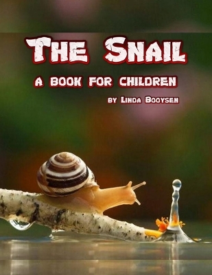 Book cover for The Snail - a book for children