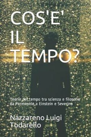 Cover of Cos'e' Il Tempo?