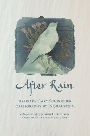 Cover of After Rain