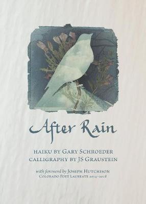 Book cover for After Rain