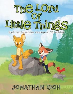 Book cover for The Lord of Little Things