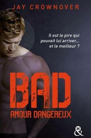 Cover of Bad - T2 Amour Dangereux