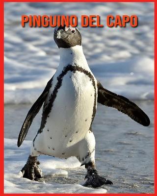 Book cover for Pinguino del Capo