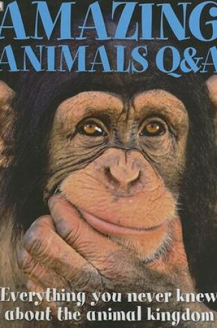 Cover of Amazing Animals Q&A