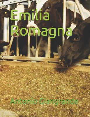 Book cover for Emilia Romagna