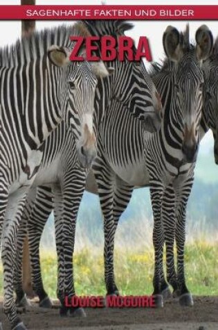 Cover of Zebra