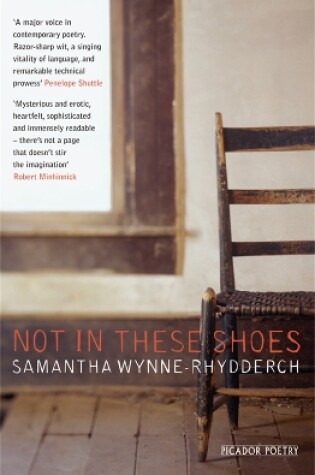 Cover of Not In These Shoes