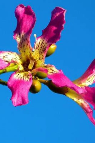 Cover of Kapok Tree Bloom, for the Love of Flowers