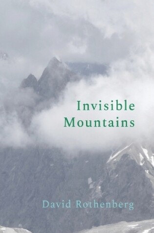 Cover of Invisible Mountains