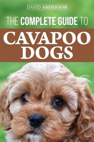 Cover of The Complete Guide to Cavapoo Dogs
