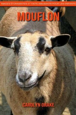 Cover of Mouflon