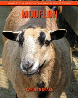 Book cover for Mouflon