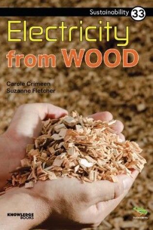 Cover of Electricity from Wood