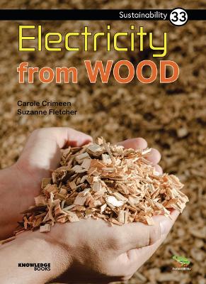 Book cover for Electricity from Wood