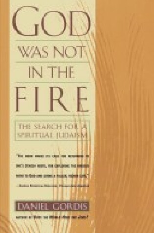 Cover of God Was Not in the Fire