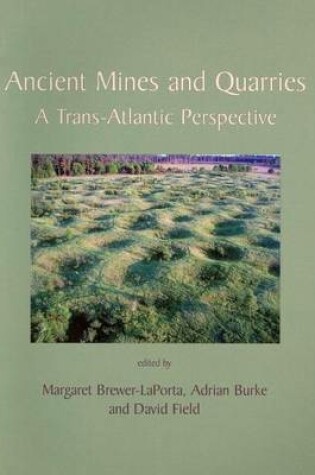 Cover of Ancient Mines and Quarries: A Trans-Atlantic Perspective
