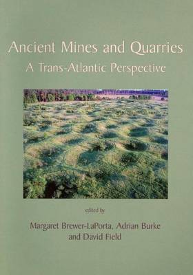 Book cover for Ancient Mines and Quarries: A Trans-Atlantic Perspective