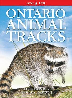 Cover of Ontario Animal Tracks