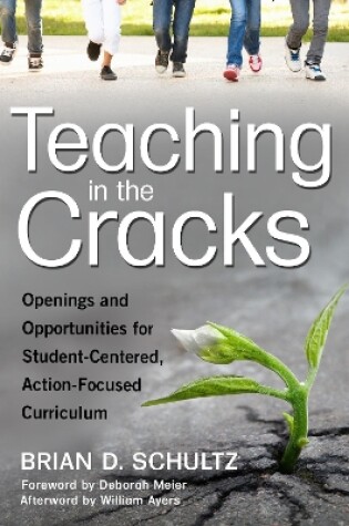 Cover of Teaching in the Cracks