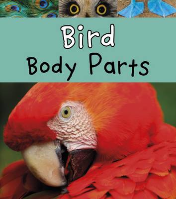 Book cover for Bird Body Parts