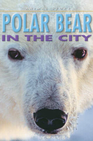 Cover of Polar Bear in the City