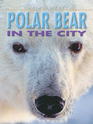Book cover for Polar Bear in the City
