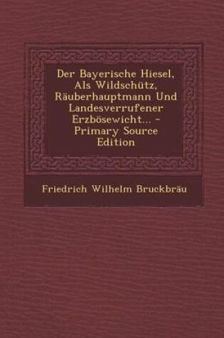 Cover of Der Bayerische Hiesel, ALS Wildschutz, Rauberhauptmann Und Landesverrufener Erzbosewicht... - Primary Source Edition