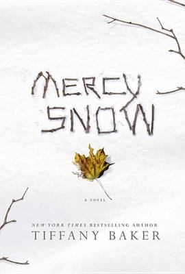 Book cover for Mercy Snow