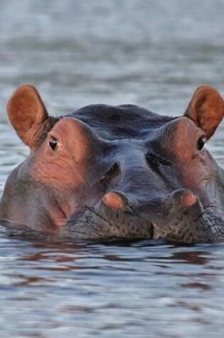 Cover of Submerged Hippo is Watching You African Animal Journal