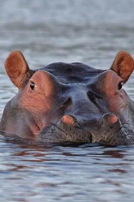 Book cover for Submerged Hippo is Watching You African Animal Journal