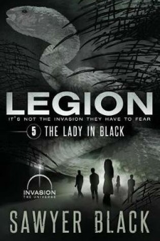 Cover of The Lady in Black