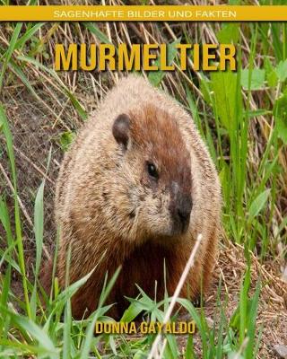 Book cover for Murmeltier