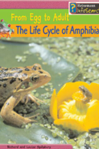 Cover of The Life Cycle of Fish