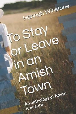 Book cover for To Stay or Leave in an Amish Town