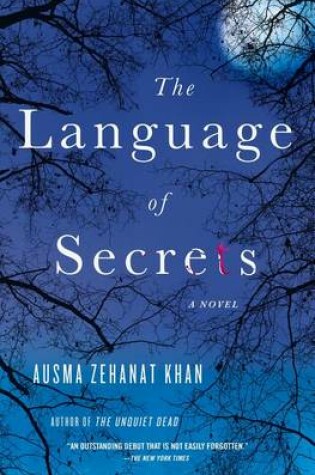 Cover of The Language of Secrets