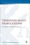 Book cover for Through Many Tribulations