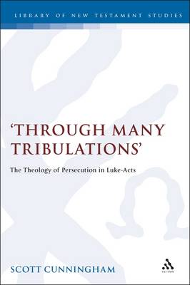 Book cover for Through Many Tribulations
