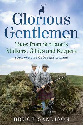 Book cover for Glorious Gentlemen