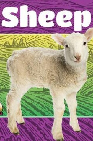 Cover of Sheep