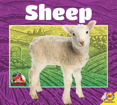 Cover of Sheep