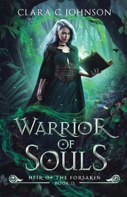 Book cover for Warrior of Souls