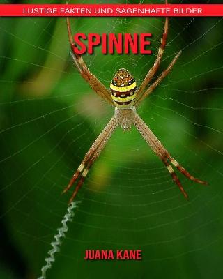 Book cover for Spinne