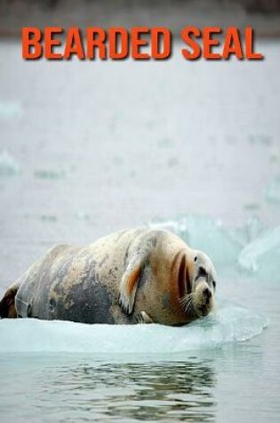 Cover of Bearded Seal